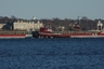 Dintelborg